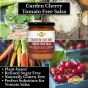 KC Natural Paleo & AIP Tomato-Free Salsa Garden Cherry