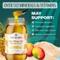 True Sea Moss Gel Mango & Pineapple, 473mL